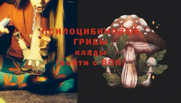 гидра Алзамай