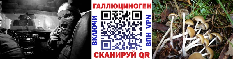 Галлюциногенные грибы MAGIC MUSHROOMS как найти Камбарка