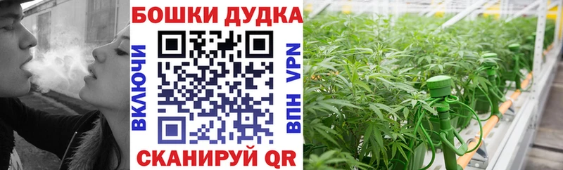 Шишки марихуана OG Kush Камбарка